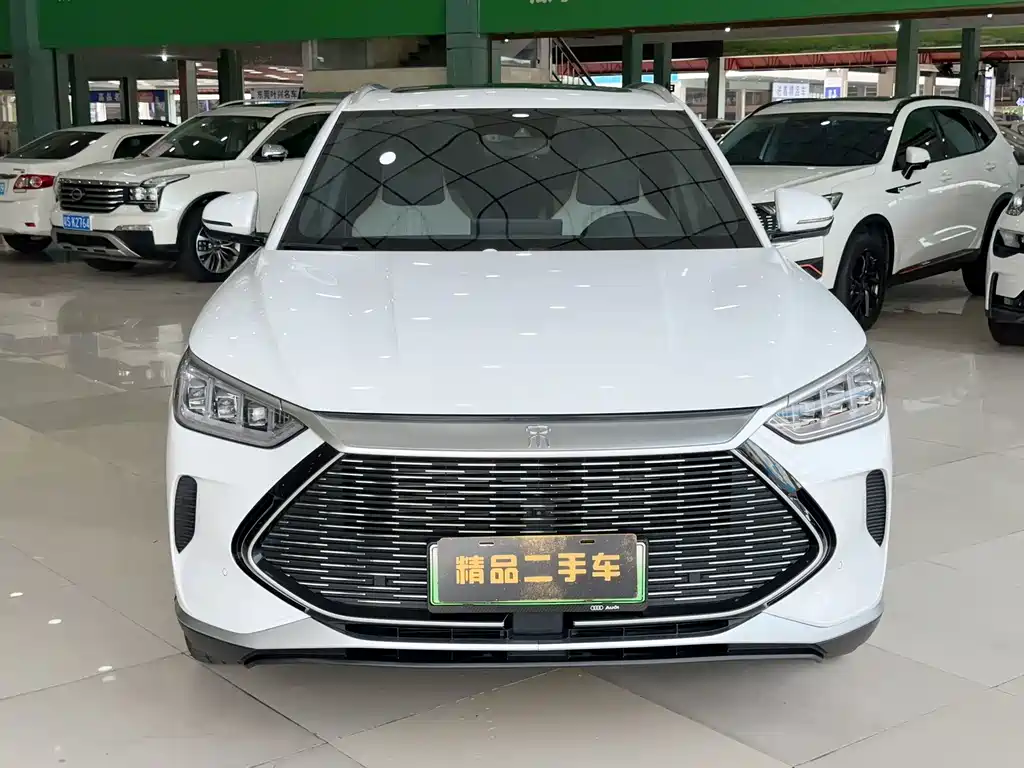 BYD PLUS New Energy — фото 2
