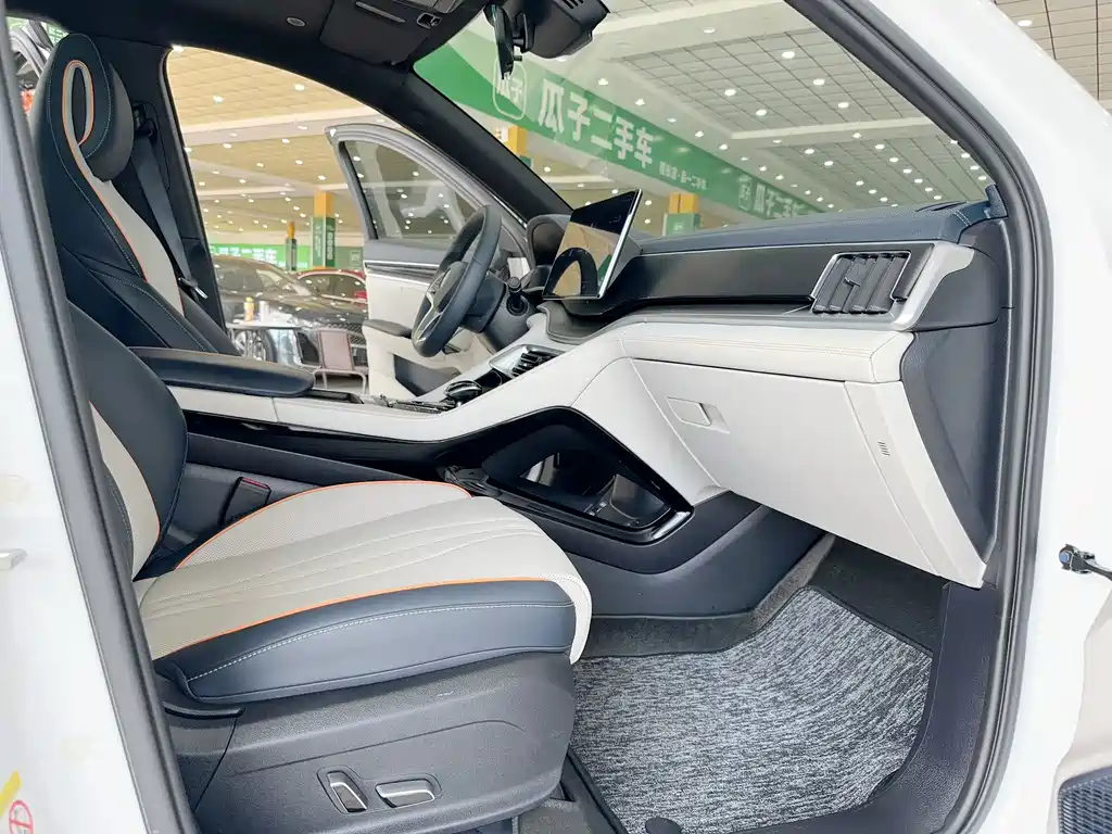 BYD PLUS New Energy — фото 11