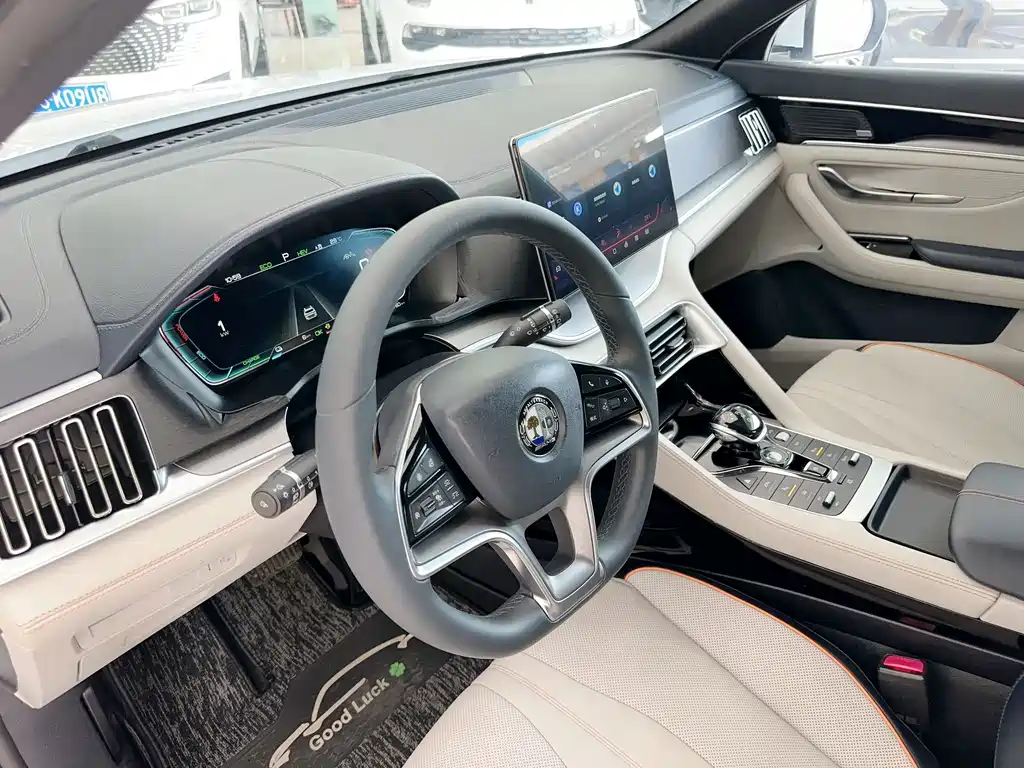 BYD PLUS New Energy — фото 13