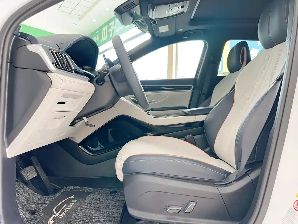 BYD PLUS New Energy — фото 15