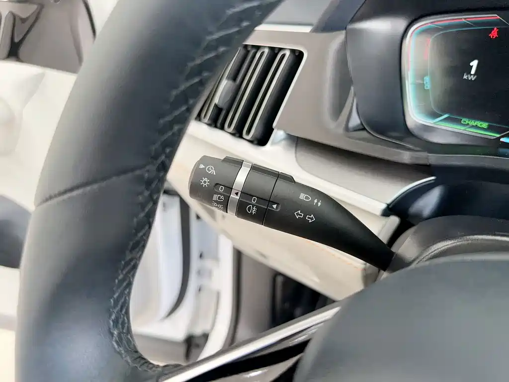 BYD PLUS New Energy — фото 17