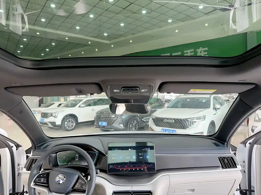 BYD PLUS New Energy — фото 20