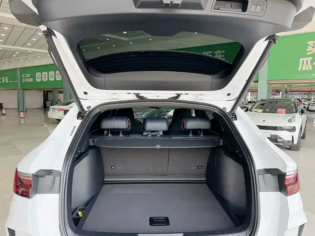 BYD PLUS New Energy — фото 23