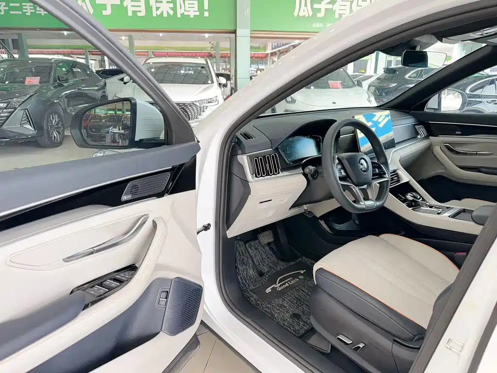 BYD PLUS New Energy — фото 7