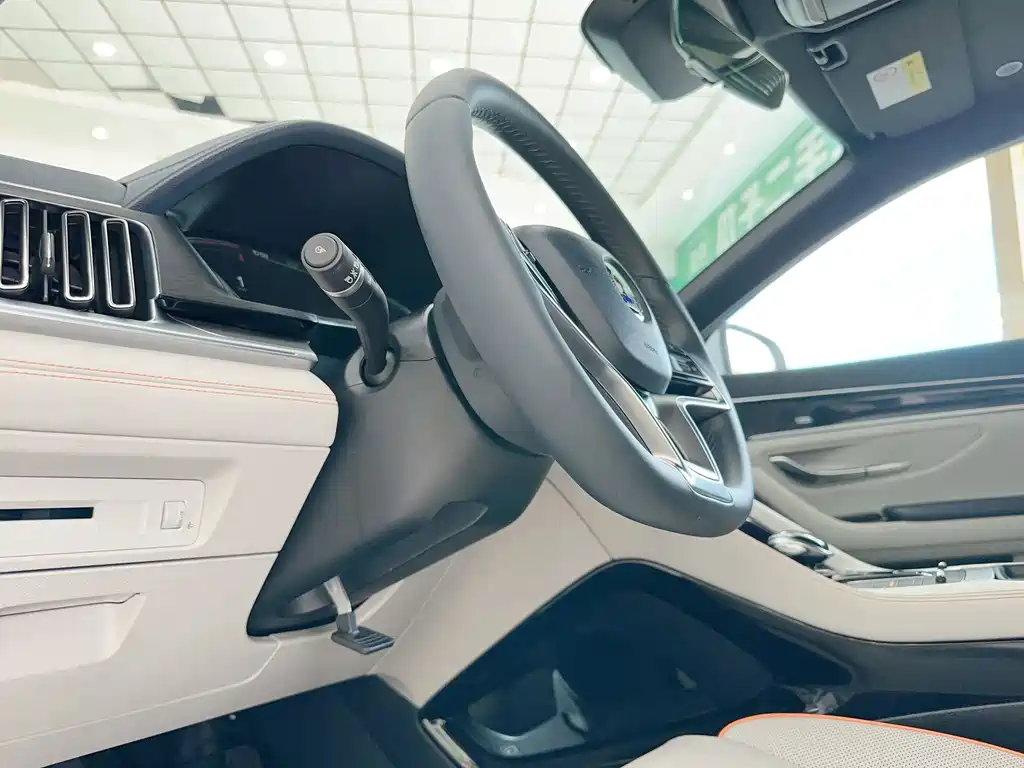 BYD PLUS New Energy — фото 8