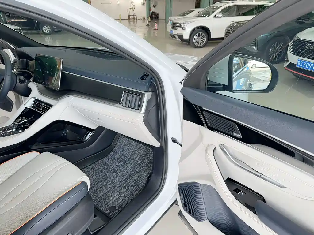 BYD PLUS New Energy — фото 9
