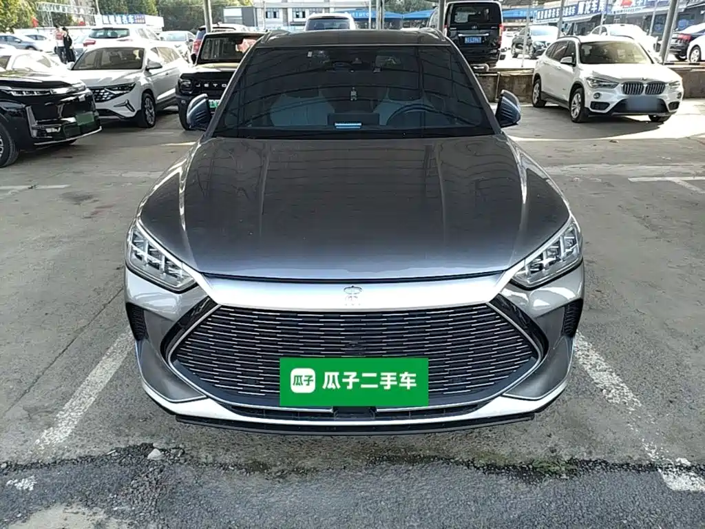 BYD PLUS New Energy — фото 2