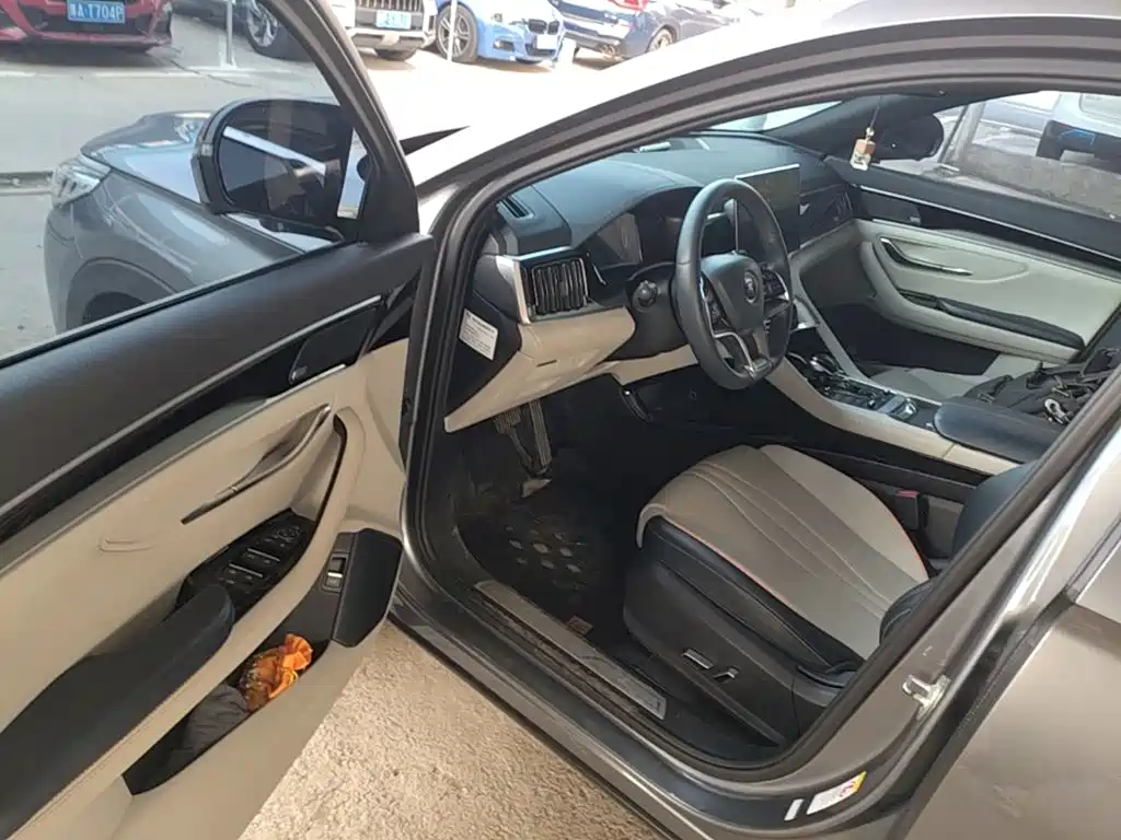 BYD PLUS New Energy — фото 15