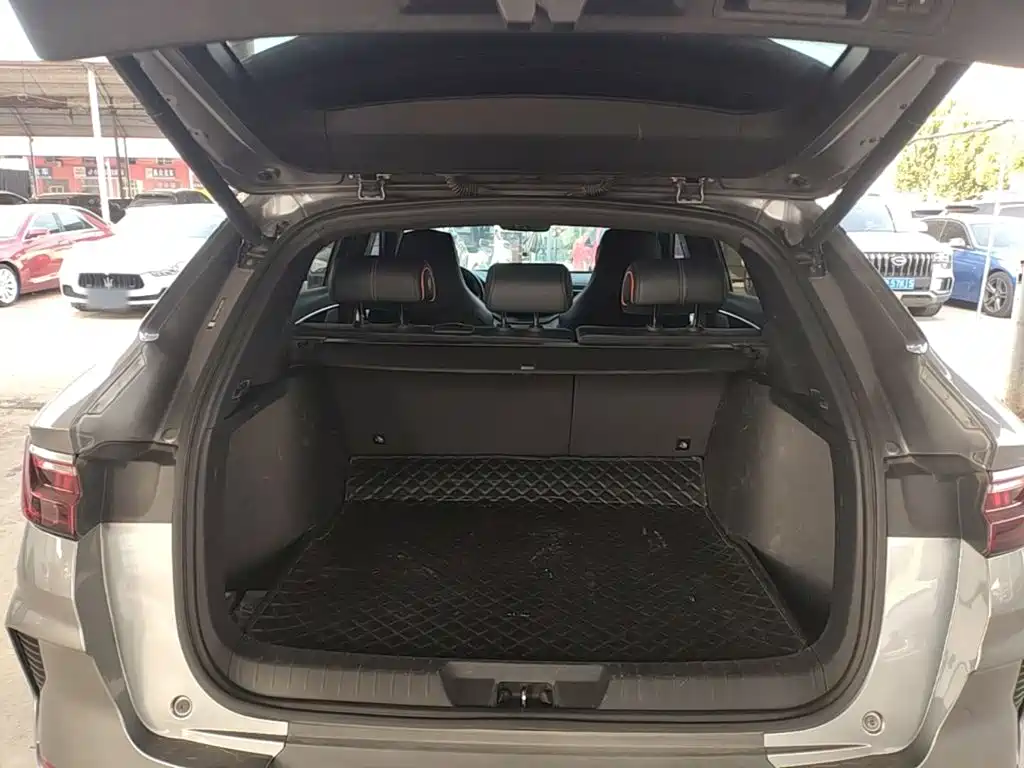 BYD PLUS New Energy — фото 18