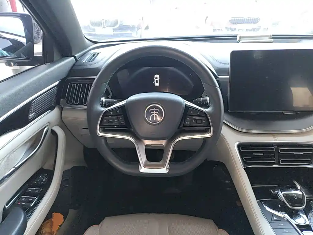 BYD PLUS New Energy — фото 10