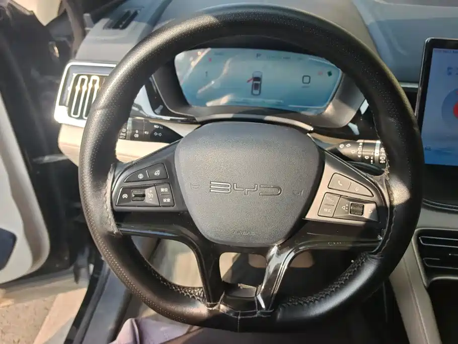 BYD PLUS New Energy — фото 15