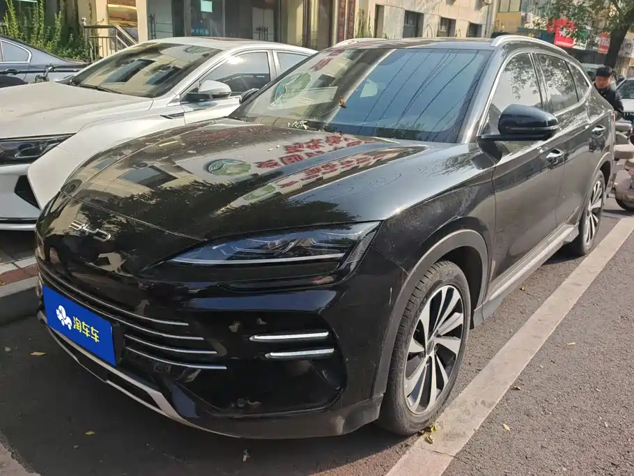 BYD PLUS New Energy