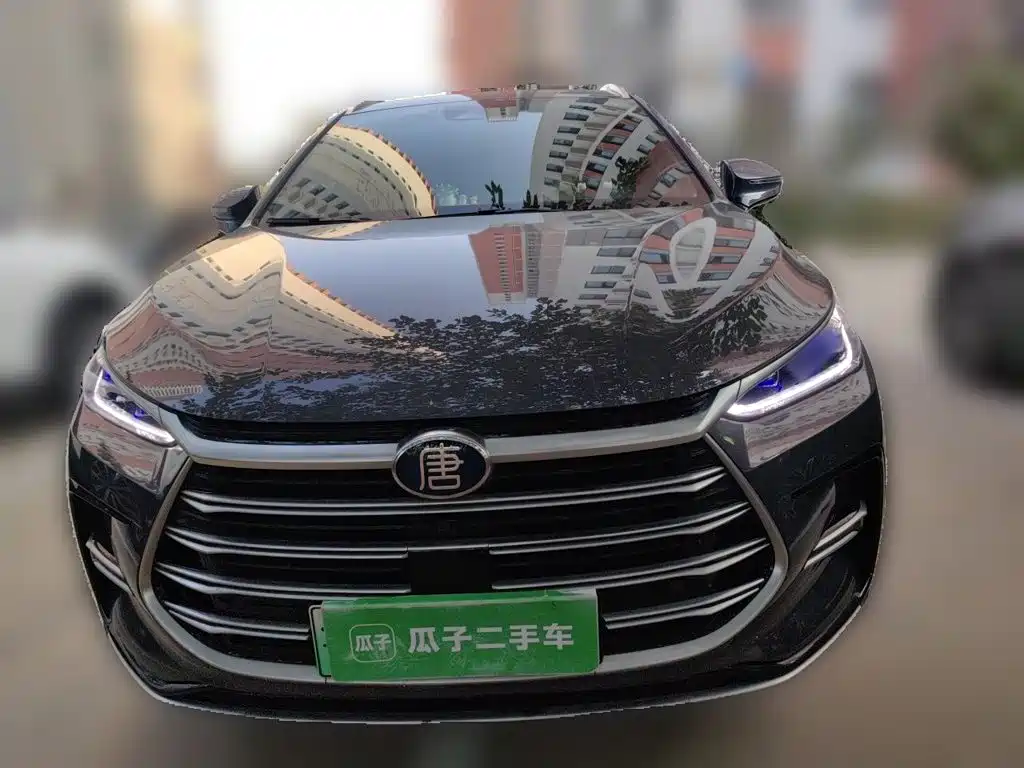 BYD Tang New Energy — фото 23