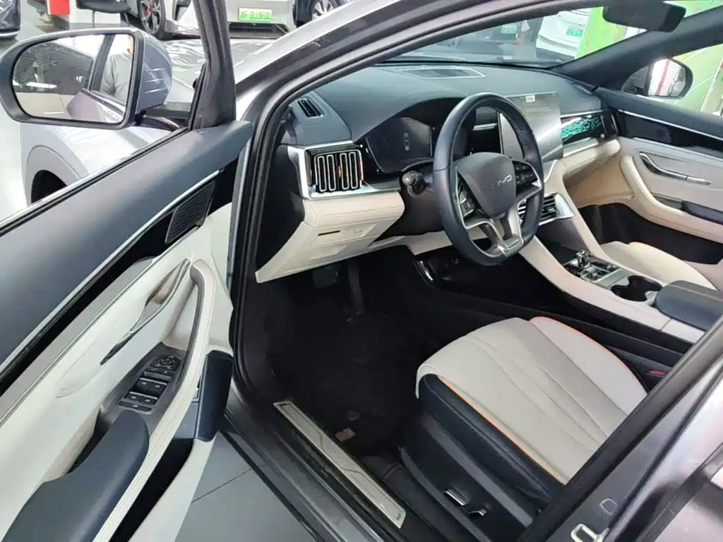 BYD PLUS New Energy — фото 15