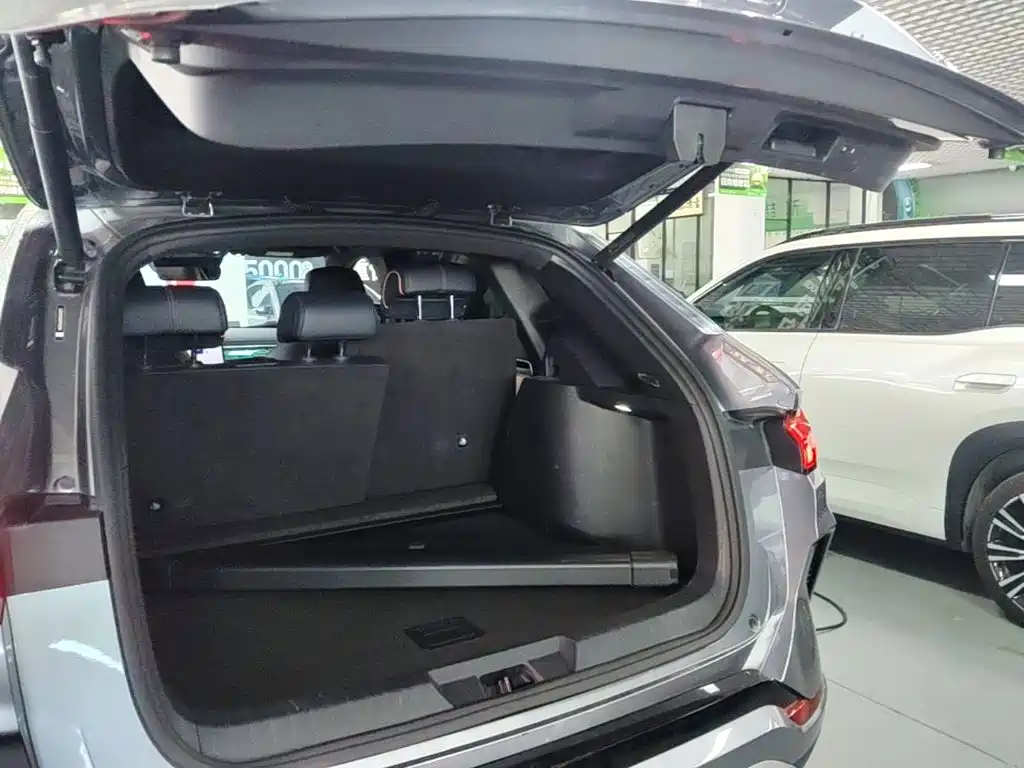BYD PLUS New Energy — фото 18