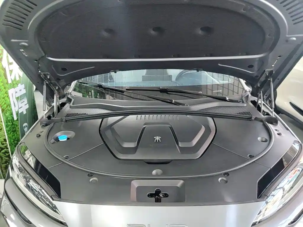 BYD PLUS New Energy — фото 19