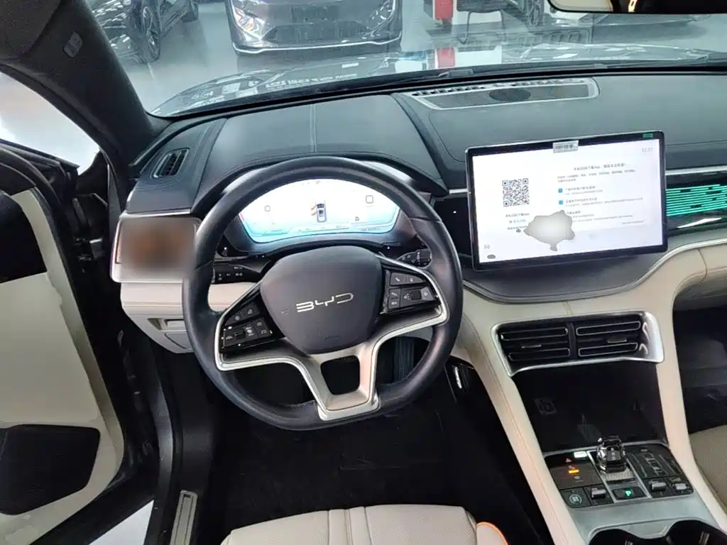 BYD PLUS New Energy — фото 10