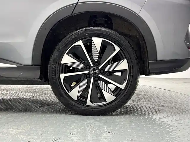 BYD PLUS New Energy — фото 14