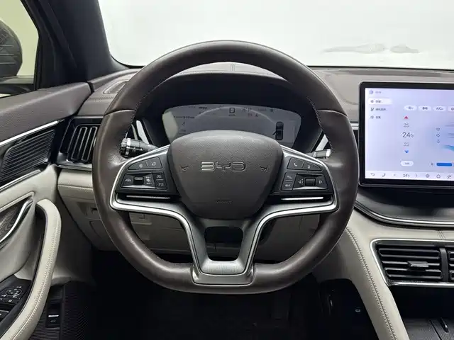 BYD PLUS New Energy — фото 17