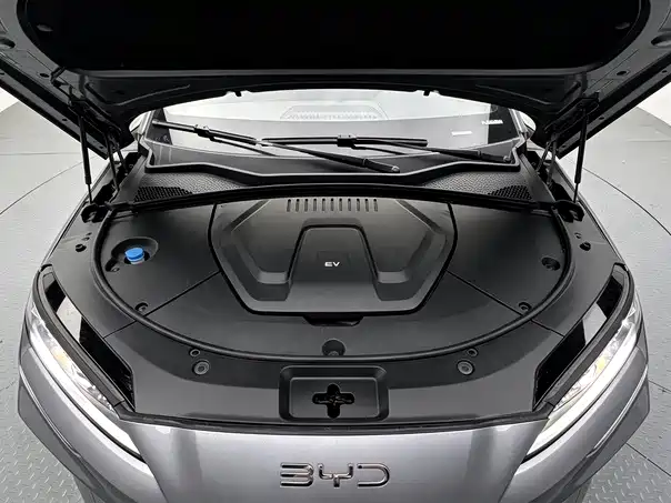 BYD PLUS New Energy — фото 19