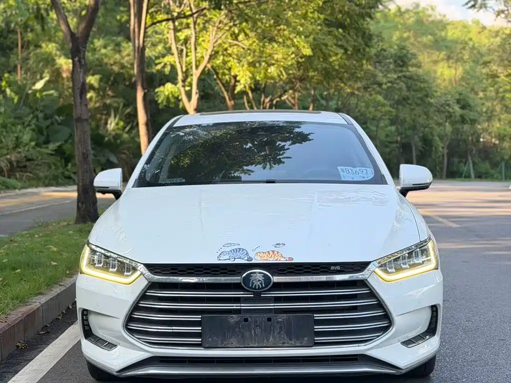 BYD Qin Pro NEV — фото 2