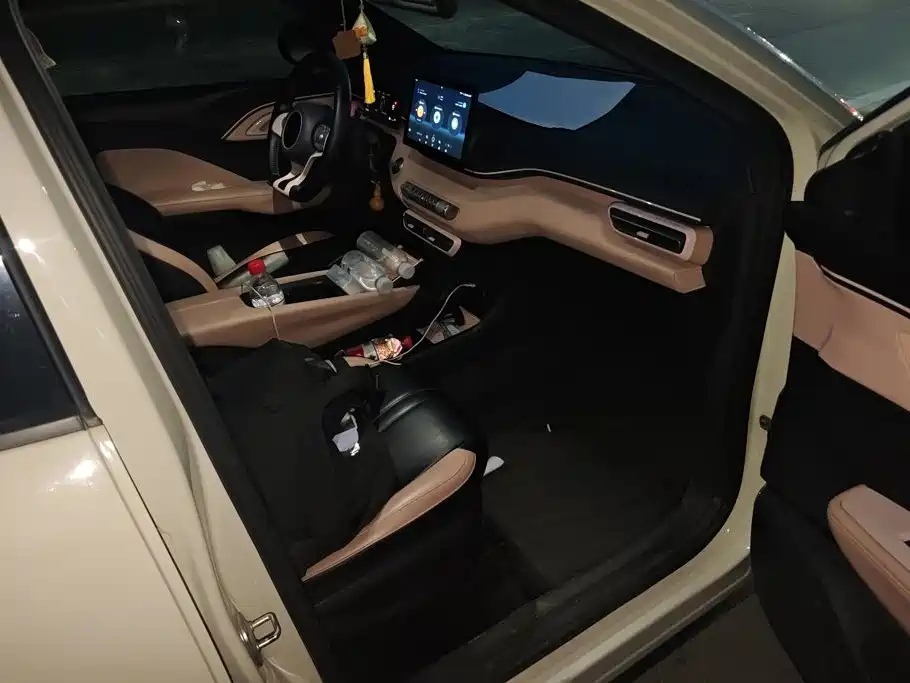 BYD Seagull — фото 8