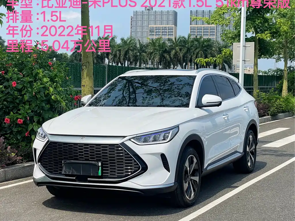 BYD PLUS New Energy — фото 2