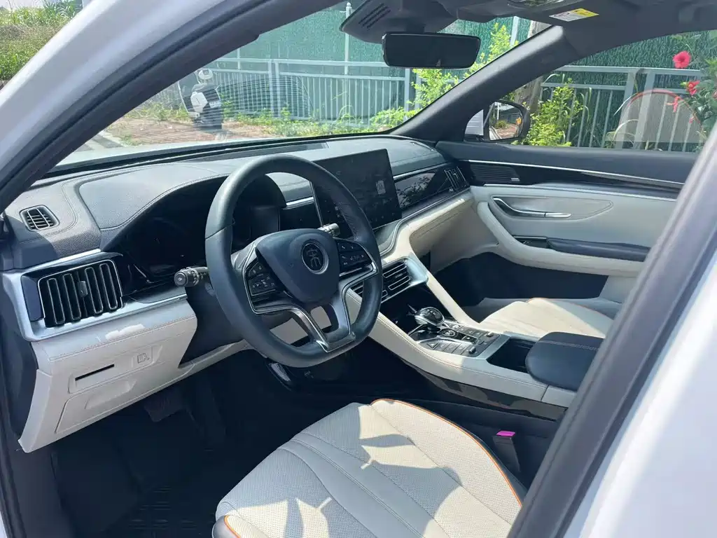 BYD PLUS New Energy — фото 13