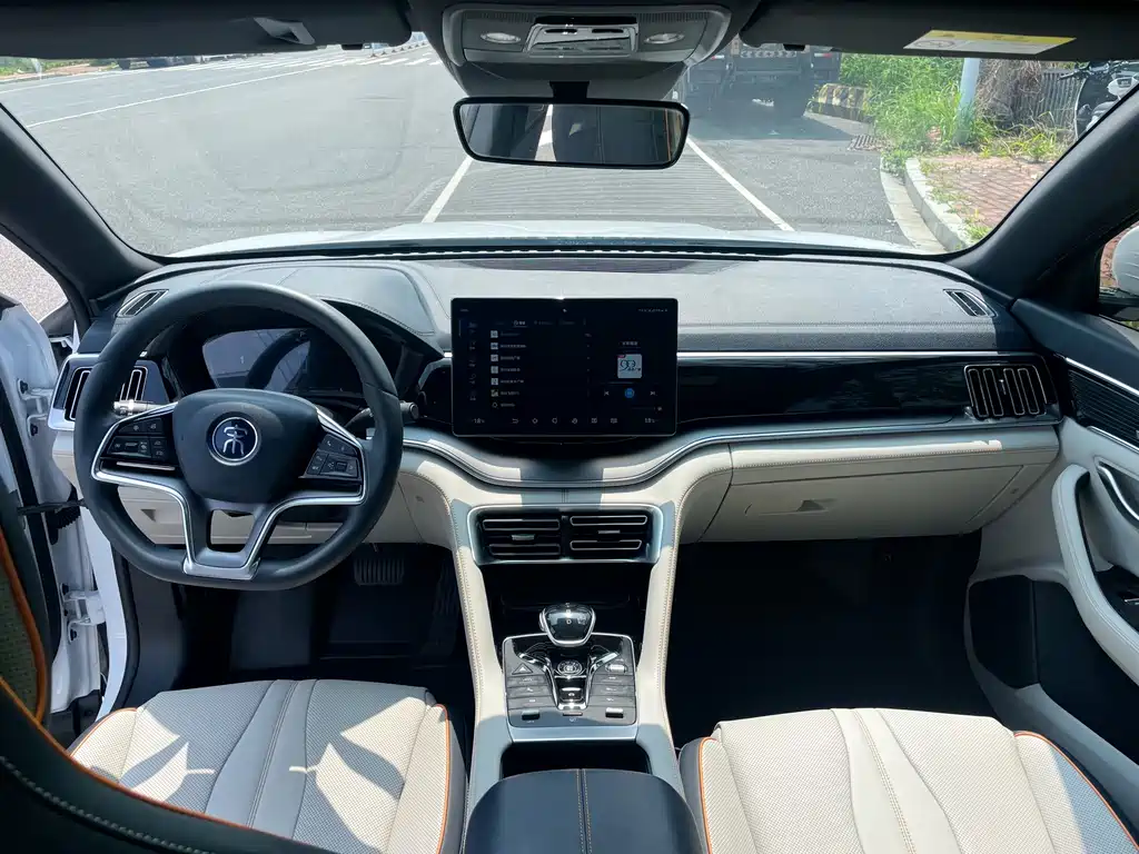 BYD PLUS New Energy — фото 18