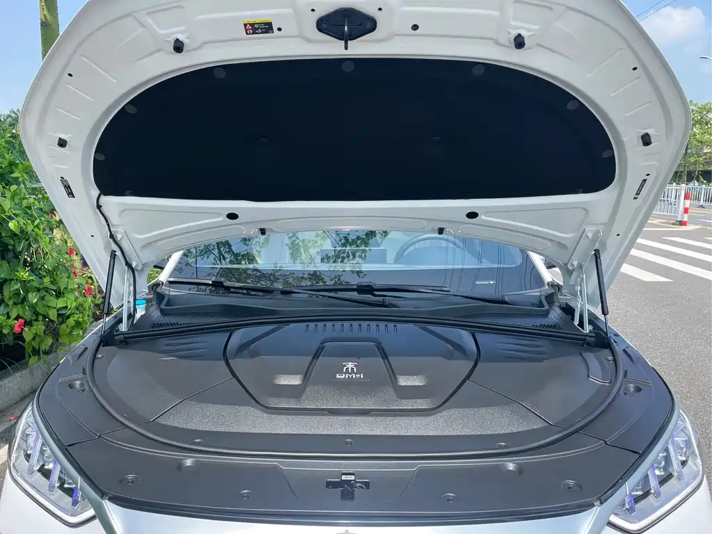 BYD PLUS New Energy — фото 28