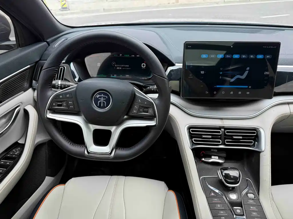 BYD PLUS New Energy — фото 8