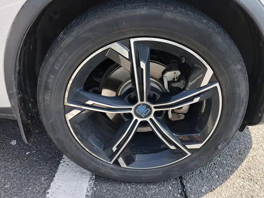 BYD Tang New Energy — фото 6