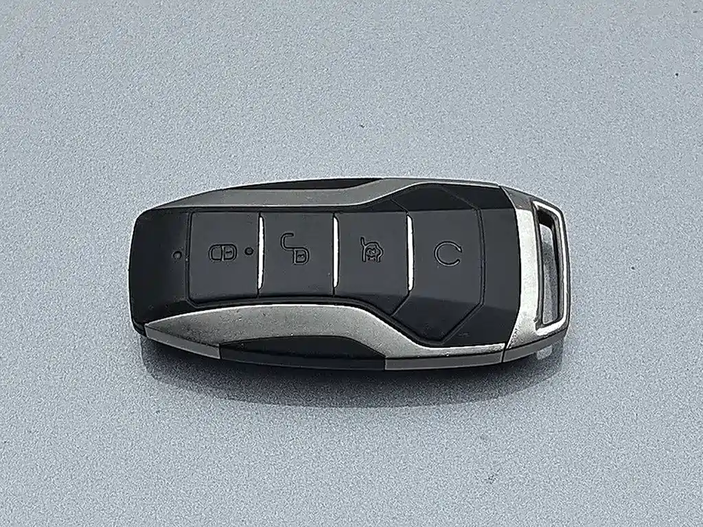 BYD PLUS New Energy — фото 19