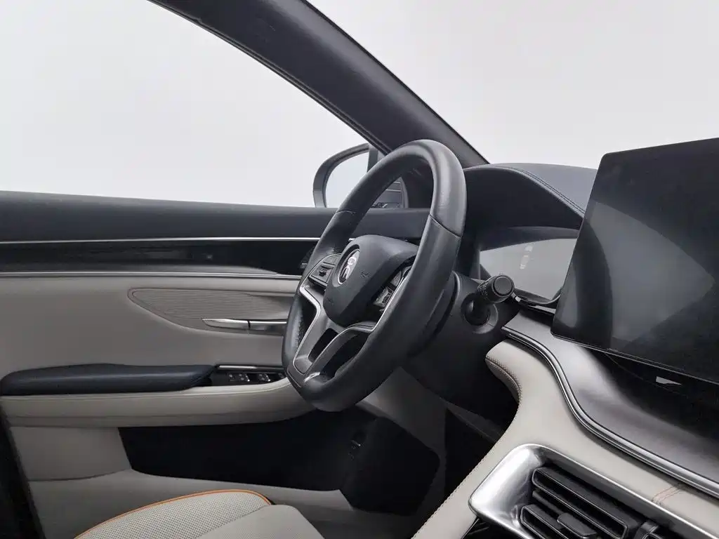 BYD PLUS New Energy — фото 22