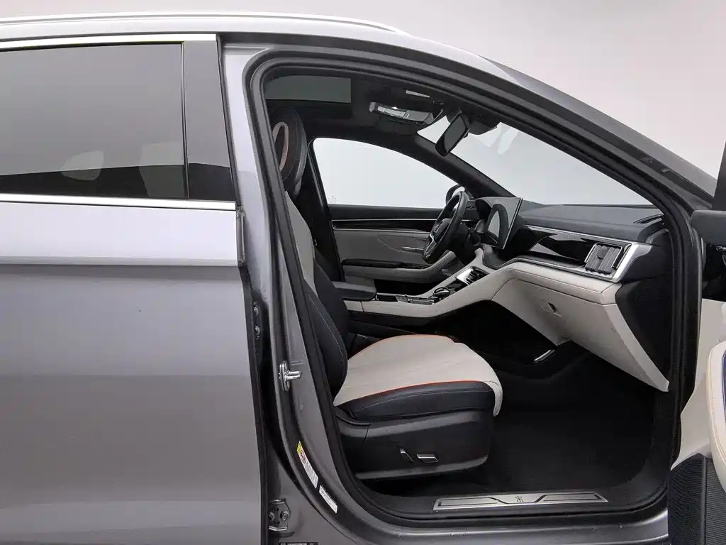 BYD PLUS New Energy — фото 23