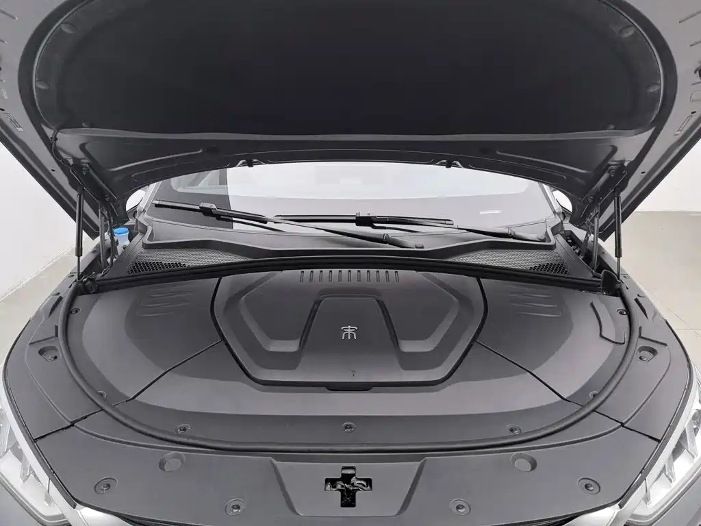 BYD PLUS New Energy — фото 6