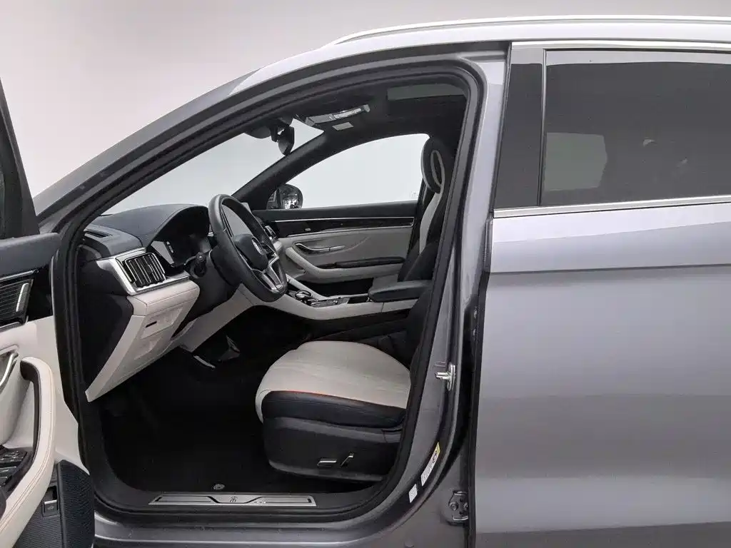 BYD PLUS New Energy — фото 10