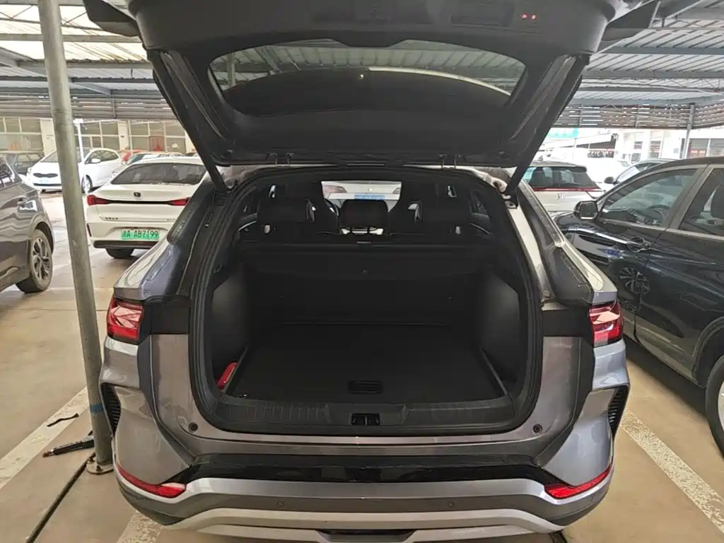 BYD PLUS New Energy — фото 18