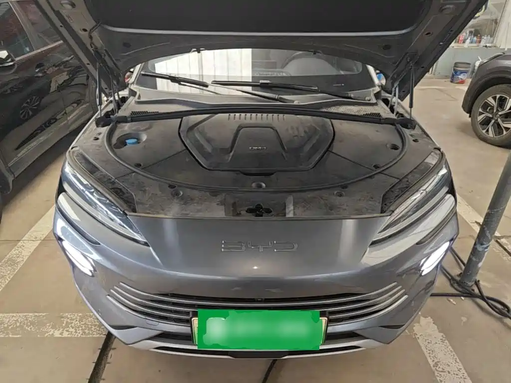BYD PLUS New Energy — фото 19