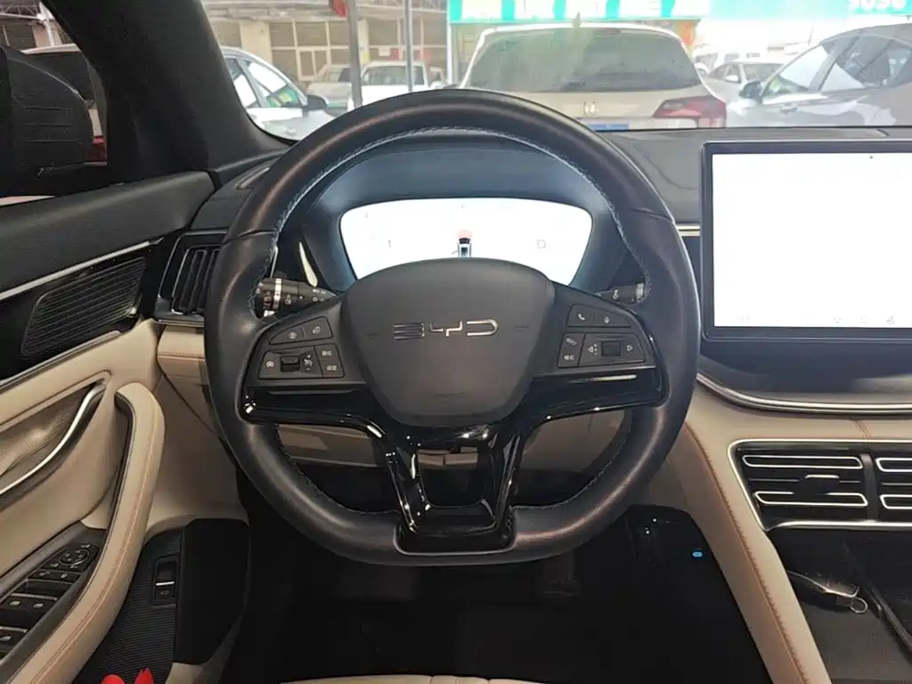 BYD PLUS New Energy — фото 10
