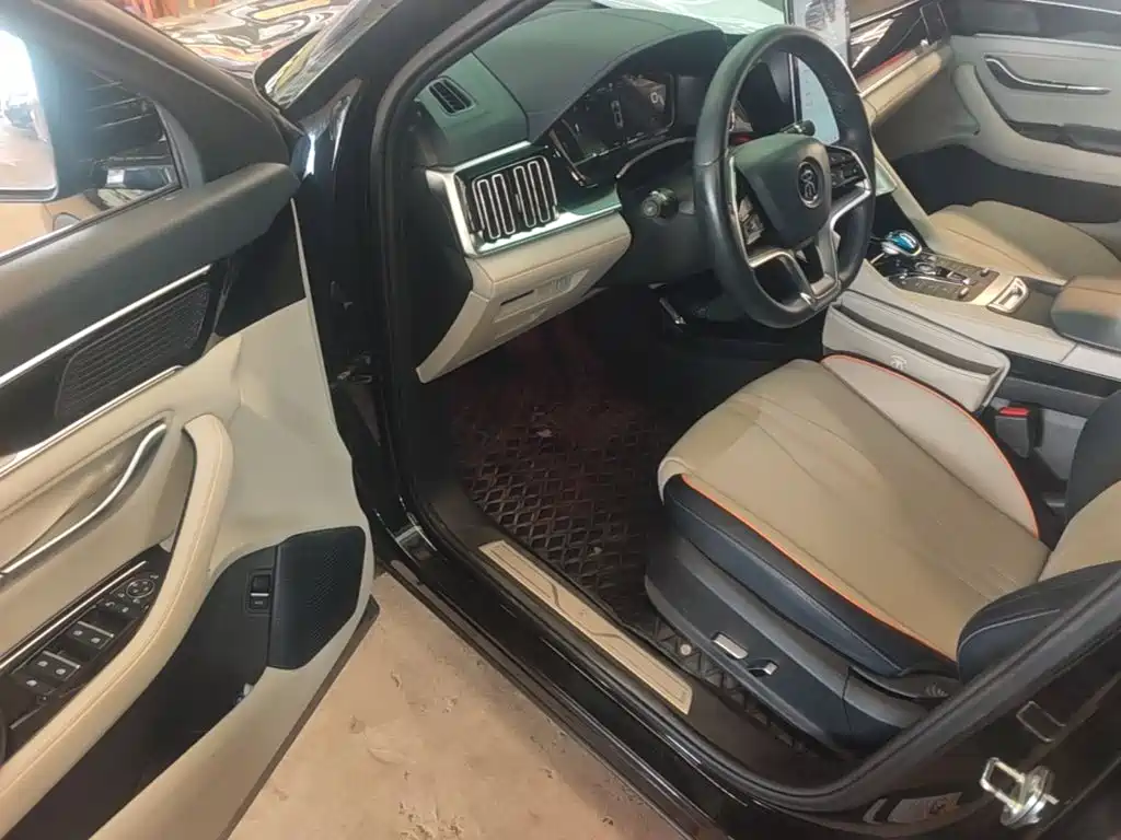 BYD PLUS New Energy — фото 15