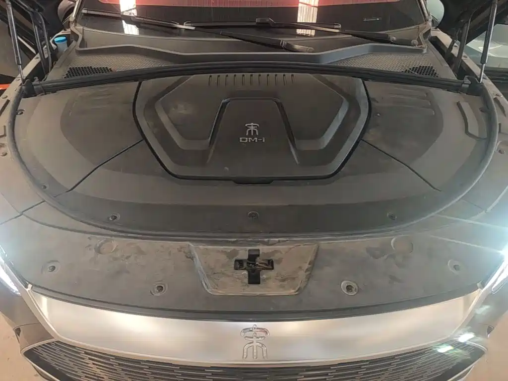 BYD PLUS New Energy — фото 19