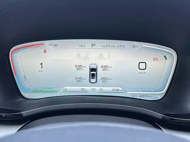 BYD PLUS New Energy — фото 4