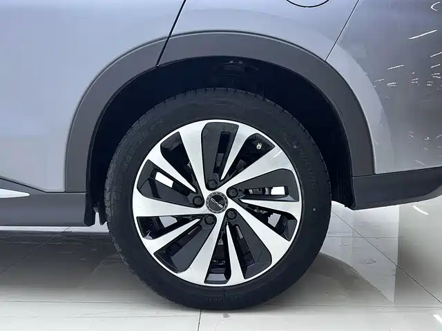 BYD PLUS New Energy — фото 9