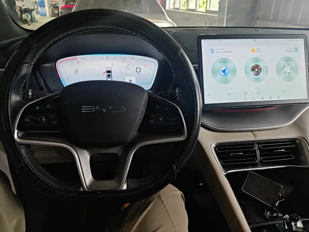 BYD PLUS New Energy — фото 11