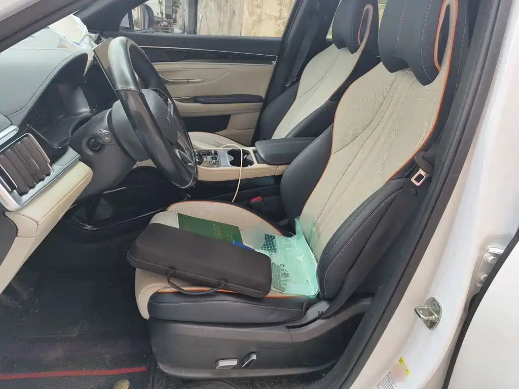BYD PLUS New Energy — фото 17