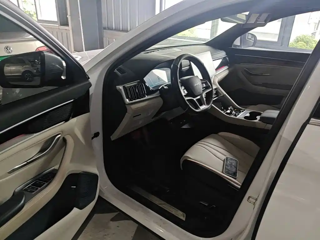 BYD PLUS New Energy — фото 18