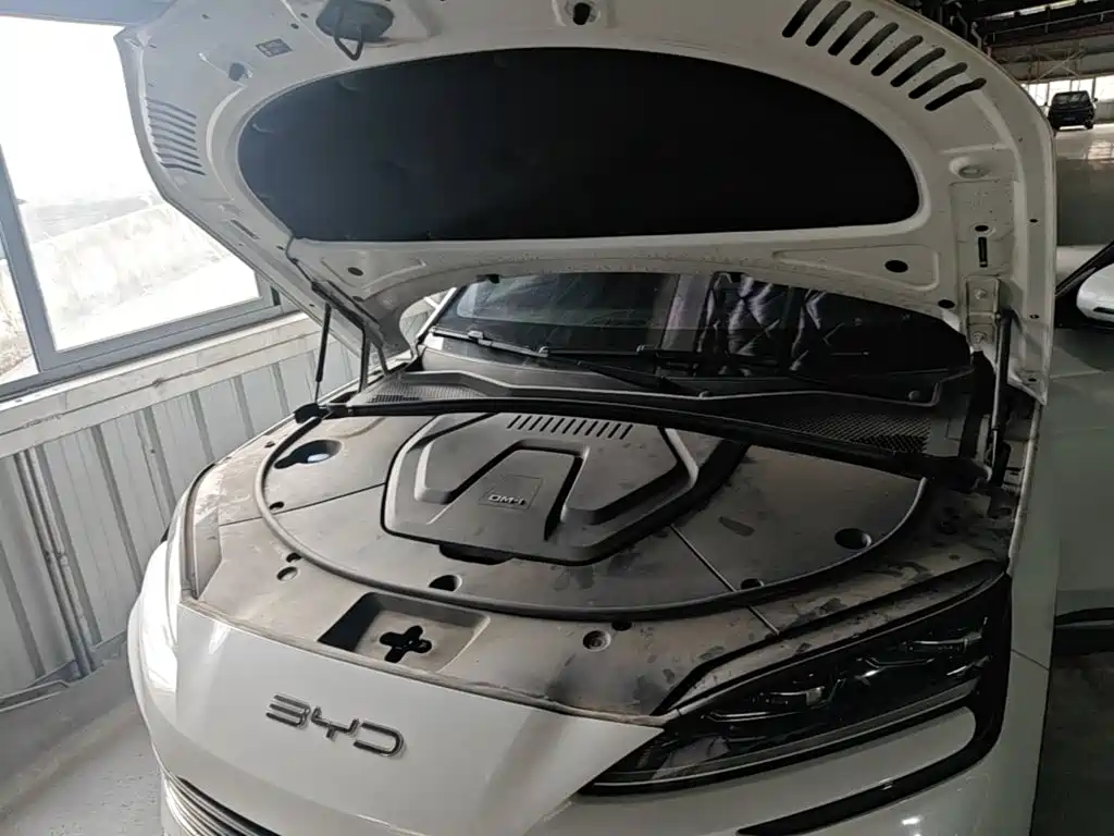 BYD PLUS New Energy — фото 22