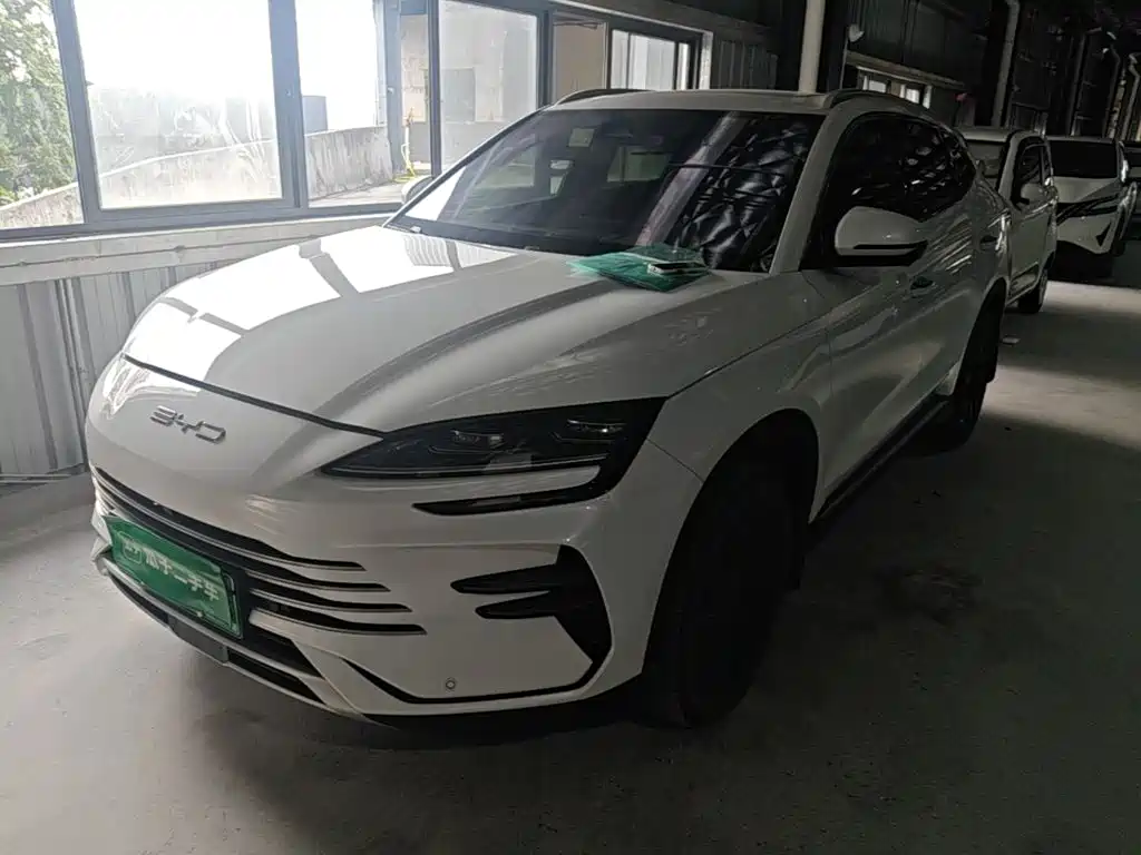 BYD PLUS New Energy — фото 1