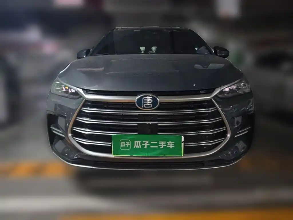 BYD Tang New Energy — фото 2